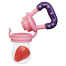 BABY Fruit Pacifier Fresh Food Feeder Teething Toy Teether Chosni Teat image
