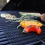 BBQ Grill Mat image