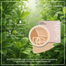 BEAUTY GLAZED High Coverage Water-proof Long Lasting Lightweight Concealer Cover Palette-401 image