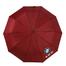 BMW Windproof Umbrella Auto Open 10 Ribs (Any Colour) image