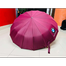 BMW Umbrella 16 Rib Full Auto Open And Close (Update Version) image