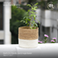 Baah’s Eco-friendly Jute And Hogla Basket image