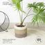 Baah’s Latte Mid-size Jute Basket 02 image
