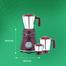 Bajaj Ivora 800W Mixer Grinder with Anti Bacterial Coating and Nutri-Pro Feature, 3 Jars, Crimson Red image