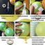 Balloon Glue Dot Transparent Double Sided Fix Gum Removable Ball Glue image