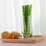 Bamboo Design Plastic Paper Straw - 50 Pcs image