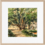 Banyan Tree Watercolor Painting - (26x26)inchs image