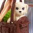 Barbie Dolls And Pets Playsets image