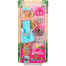 Barbie GKH73 Spa Doll image