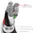 Baseus Rapid Series 3-in-1 Cable Micro Dual Lightning 3A 1.2M image