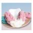 Bath Sponge Soft Net -1pcs image