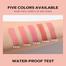 Beauty Glazed Waterproof Velvet Liquid Blush Stick B102 image