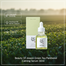 Beauty Of Joseon Green Tea Panthenol Calming Serum 30ml image