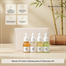 Beauty Of Joseon Hanbang Serum Discovery Kit image