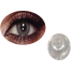 Bella Amber Gray Color Contact Lens image