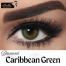 Bella Caribbean Green Color Contact Lens image