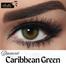Bella Caribbean Green Color Contact Lens image
