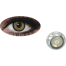Bella Gold Highlight Color Contact Lens image