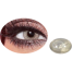 Bella Gray Caramel Color Contact Lens image