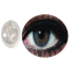 Bella Gray Natural Color Contact Lens image