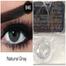 Bella Gray Natural Color Contact Lens image