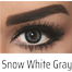 Bella Gray Snow White Color Contact lens with Regular Kit Box. image