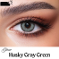 Bella Husky Gray Green Color Contact Lens image