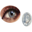 Bella Luminous Pearl Color Contact Lens image