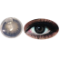 Bella Satin Grey Snow Color Contact Lens image