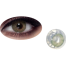 Bella Silky Green Color Contact Lens image
