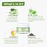 Bella Vita Organic EyeLift Under Eye Cream image
