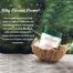 Biotique Bio Coconut Cream 50 gm -252096572 image