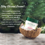 Biotique Brightening Instant Glow Cream Coconut For All Skin Type 50gm image