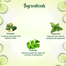 Biotique Cucumber Pore Tightening Refreshing Toner 120ml image