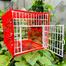 Birds Carrying Cage Only for Small Birds 1pc (Folding) Mix Color 8x6inch image