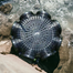 Black Fish Net Cage 8-hole Loach Trap Fishing Pot, Mud Cage Plastic Finless Eel Cage image
