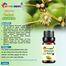 Bokul Flower Essential Oil -10ml image
