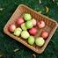 Bread Basket image