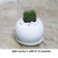 Brikkho Haat Ball cactus Y with 4 Inch B Ceramic image
