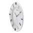 CASIO Wall Clock image