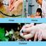 COFISTIC Paper Soap For Travelling image