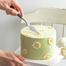Cake Decoration Scraper Set image