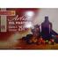 Camel Artist Oil Pastels 25 shades Box for professional artists. image