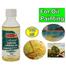 Camel Artist Purified Linseed Oil For Oil Color 100ml Yellow image