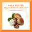 Cantu Shea Butter Thermal Shield Heat Protectant 151ml image