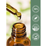 Carlyle Organic Oil of Oregano Liquid Drops 2fl oz 59ml image