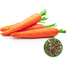 Carrot Seeds image