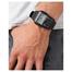 Casio Databank image