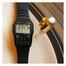 Casio Databank image