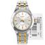 Casio Silver Gold Combination Analog Watch For Men image